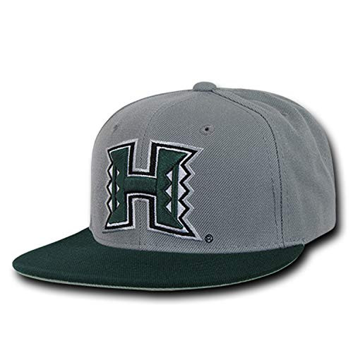 University of Hawaii Rainbow Warriors NCAA Flat Bill Snapback Baseball Cap Hat