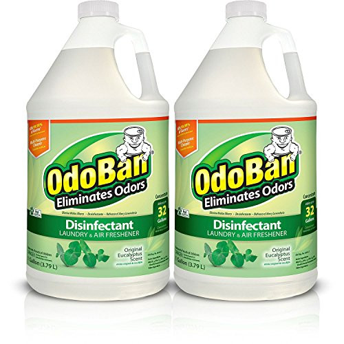 OdoBan Concentrate Disinfectant Laundry and Air Freshener  Eucalyptus Scent  2 Gallons