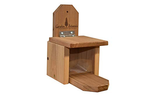 Garden Artworks Jay Squirrel Nut Box Feeder Handmade in the USA
