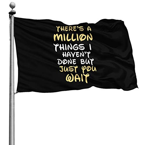 LINP There_s A Million Things I Haven_t Done Just You Wait Flag 4x6 Ft Garden Flag Outdoor Flag Banner Breeze Flag Home House Flags