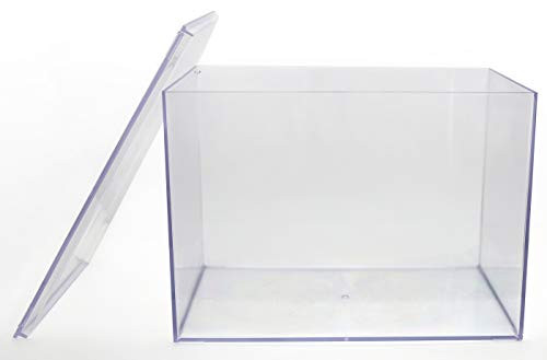 Clear Plastic Display Box - 12 1 2 inch L X 8 1 2 inch W X 8 1 2 inch H - 1 Box