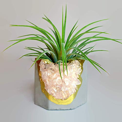 Geode Planter - Air Plant Holder - Rose Quartz Crystal Planter - Succulent Pot - Purple and Gold Cactus Pot - Crystal Candle Holder - Tea Light Candle Holder - Raw  and  Polish Rose Quartz Chips Plant Pot