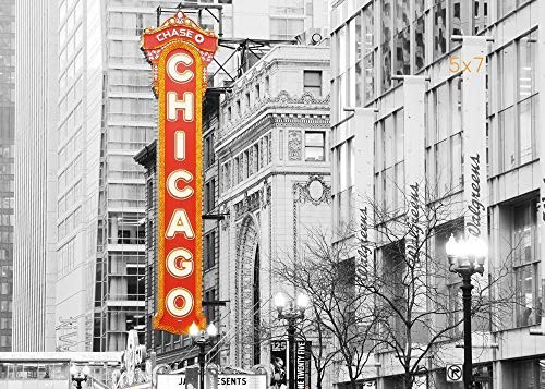 Chicago art print  black and white picture on photo paper or canvas  5x7 to 30x45 inches  large B and W wall decor