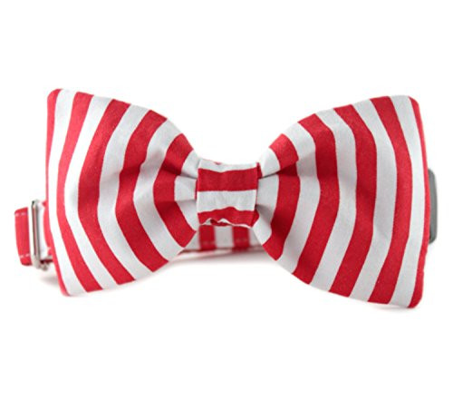 Striped Bow Tie Dog Collar - Red and White Candy Cane Stripe Bow Tie Dog Collar - Red White Dog Collar - Holiday Collar