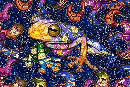 Peace Frog Tapestry by Dan Morris  40inch x60inch