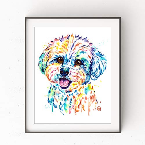Bichon Frise Art by Whitehouse Art - Bichon Frise Gift  Havanese  Veterinarian Gift  Wall Art  Prints  Dog Gifts - Professional Print of Bichon Frise Original Watercolor Painting - 5 Sizes