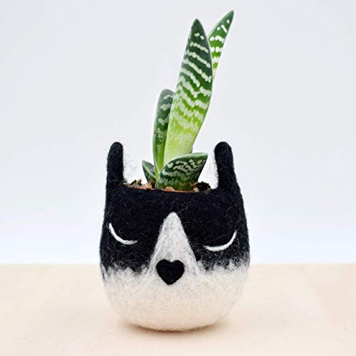 Succulent planter Tuxedo cat mini planter Cat head planter indoor planter Small succulent pot cat lover gift gift for her