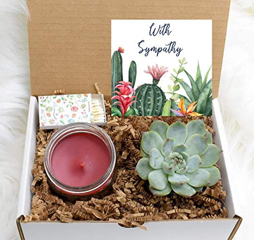 With sympathy gift box - sorry gift box - cheer up sunshine gift - Succulent and Candle present - Send a Gift - live succulent - gift box