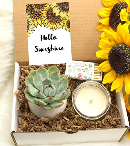 Hello Sunshine Succulent Gift Box - Custom Friendship Gift - Friendship Gift - Send a Gift - Care Package - Friendship Gift Ideas