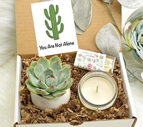 You Are Not Alone - Sympathy gift - Sympathy Candle - Sorry gift box - Cheer up gift - Sympathy Gift Basket - Thinking of you gift - Gift
