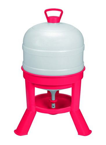 Little Giant Plastic Dome Waterer -8 Gal- Heavy Duty Plastic Gravity Fed Poultry Waterer Container Tank -Red- -Item No. DOMEWTR8-