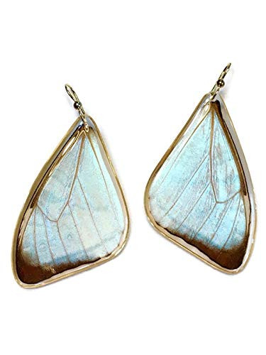 Butterfly wings Earrings  925 sterling silver