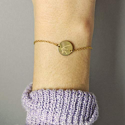Constellation Bracelet  capricorn bracelet  aquarius bracelet  pisces Constellation  aries Constellation  Zodiac Sign Necklace  taurus  gemini Constellation Bracelet  capricorn bracelet  aquarius bracelet  pisces Constellation  aries Constellation  Zodiac Sign Necklace  taurus  gemini