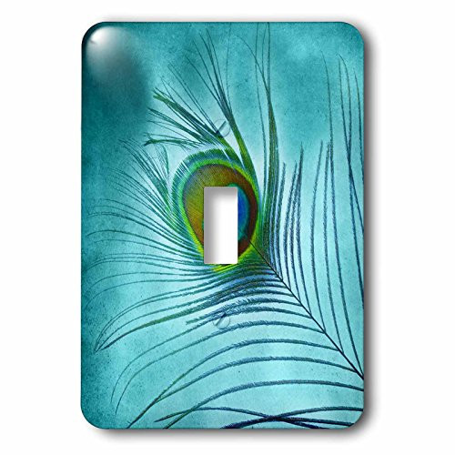 3dRose lsp_211236_1 Peacock Feather On Turquoise Background - Single Toggle Switch 3dRose lsp_211236_1 Peacock Feather On Turquoise Background - Single Toggle Switch