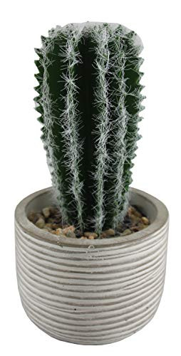 Connie N Randy Faux Cactus Succulent in Cement Planter Pot
