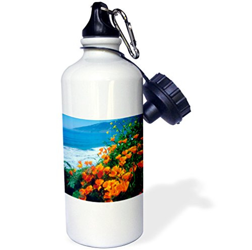 3dRose wb_207000_1 USA, California, California Poppies along the Pacific Coast Sports Water Bottle, Multicolored, 21 oz