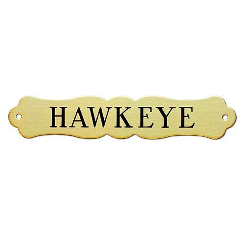 Large HALTER or XLarge SADDLE Plate ORNATE Thick Fancy Solid Brass or Solid Nickel Silver Custom Engraved