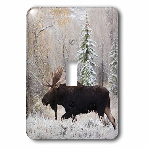 3dRose LSP_231958_1 Shiras Bull Moose, Autumn Snow Single Toggle Switch