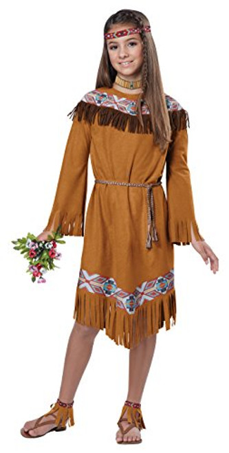 California Costumes Classic Indian Girl Child Costume  Medium