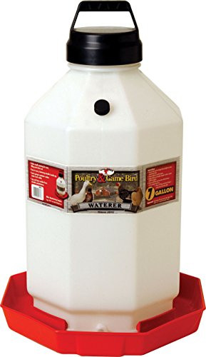 Little Giant PPF7 7 Gallon Capacity Hanging Automatic Poultry Waterer Dispenser for Chickens and Game Birds  Red