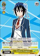 Weiss Schwarz _ Seishiro Tsugumi _ NK W30_E019 _ C _NK W30_E019_ _ NISEKOI _False Love_ ver.E Booster