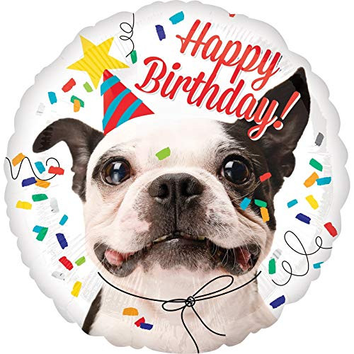 Mayflower Products _ Birthday Dog Round Foil Balloon _ Multi_Colored Mayflower Products _ Birthday Dog Round Foil Balloon _ Multi_Colored