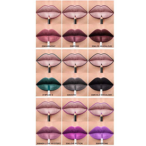 Long Lasting Lipstick Waterproof Matte Liquid Gloss Lip Liner Cosmetics Set _P_