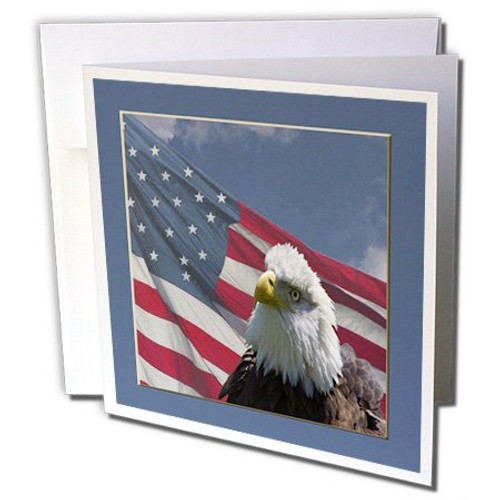 3dRose Eagle with American Flag - Greeting Cards, 6 x 6 inches, set of 12 (gc_17510_2)