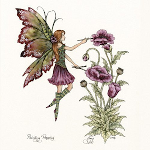 CD Visionary Amy Brown Poppies Button B_1362