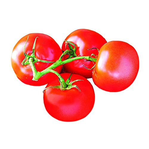 Park Seed Celebrity Hybrid Tomato Seeds_ Includes 30 Seeds in a Pack