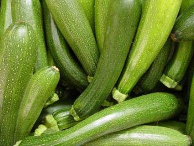 Todd's Seeds Dark Green Zucchini Summer Squash Heirloom Seed _ 7g Packet