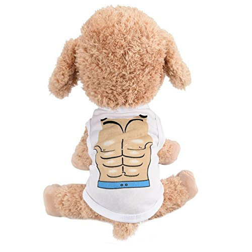 Howstar Pet Shirt_ Soft Puppy Pet Vest Summer Sweatshirt Printed Dog Clothes Cute T Shirt for Dog _B_ S_ Howstar Pet Shirt_ Soft Puppy Pet Vest Summer Sweatshirt Printed Dog Clothes Cute T Shirt for Dog _B_ S_