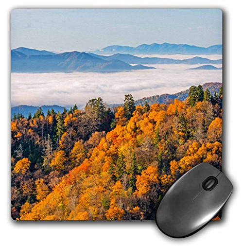 3D Rose "Tennessee Great Smoky Mountains Newfound Gap" Matte Finish Mouse Pad - 8 x 8" - mp_231603_1 3D Rose "Tennessee Great Smoky Mountains Newfound Gap" Matte Finish Mouse Pad - 8 x 8" - mp_231603_1