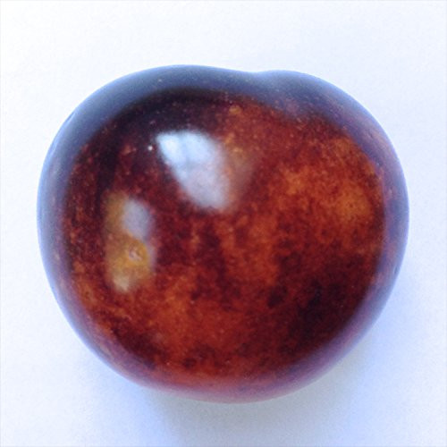 Wayland Chiles Indigo Rose Tomato Seeds Wayland Chiles Indigo Rose Tomato Seeds