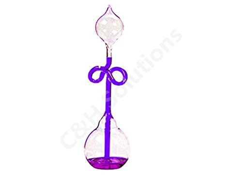 C and H Solutions HB1101AP Bow Tie Shape Purple Liquid Hand Boiler by C and H