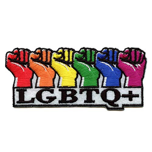 C and D Visionary Jsx LGBTQ  Plus  Rainbow Fists Patch Iron_On Patches _P_JSX_0005_