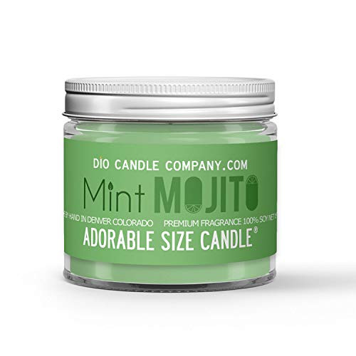 Mint Mojito Candle _ Mint _ Lime _ Rum Scented _ Made with 100 Percent  Vegan Soy Wax and Premium Fragrance _ Available in 3 Adorable Sizes and Wax Tart