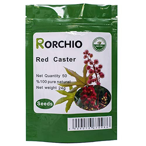 50 Red Castor Castor Bean Ricinus Communis Non_GMO Seeds ~ Chris's Garden