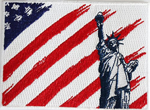 C and D Visionary Application DSX Liberty Flag Patch
