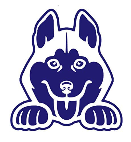 Husky Peeking Dog Lover Vinyl Sticker Decals for Car Bumper Window Laptop Tablet Phone _8 inch  x 7.3 inch _ Purple_