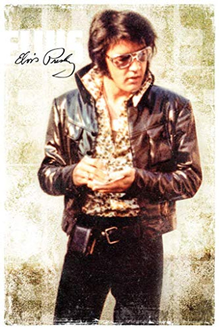 Studio B Elvis Presley Cool Cool Wall Decor Art Print Poster 24x36 Studio B Elvis Presley Cool Cool Wall Decor Art Print Poster 24x36