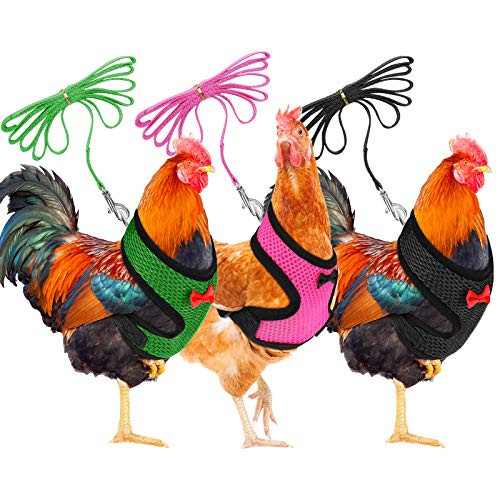 3 Pieces Chicken Harness Breathable Hen Pet Vest with 3.6 Feet Matching Belt Comfortable Chicken Training Harness Small Size for Chicken_ Duck or Goose _Black_ Pink_ Green_