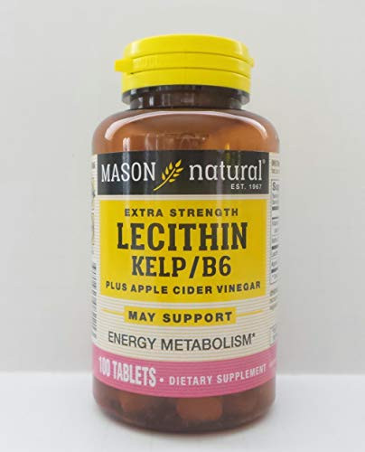 Mason Natural Lecithin with Kelp B_6 Plus Cider Vinegar Tablets_ Weight Management _ 100 Ea by Mason Vitamins