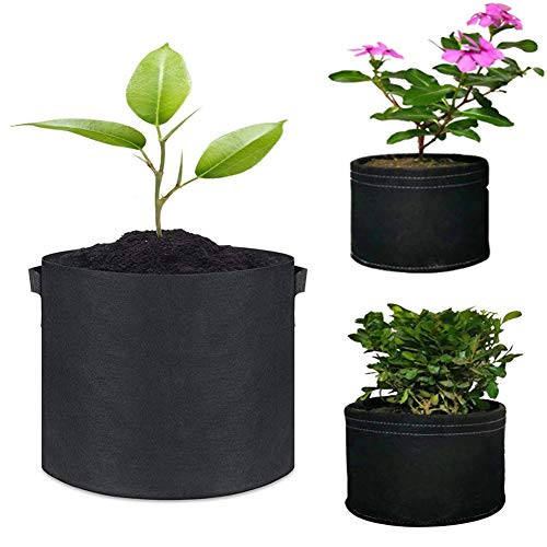 Grow Bags 5 Gallon_ Plant Growing Pots with Handles Vegetables Flower Plants Growing Bag_300G Thickened Nonwoven Heavy Duty Aeration Fabrick Pot _5 Gallons_3 Pack_ Grow Bags 5 Gallon_ Plant Growing Pots with Handles Vegetables Flower Plants Growing Bag_300G Thickened Nonwoven Heavy Duty Aeration Fabrick Pot _5 Gallons_3 Pack_