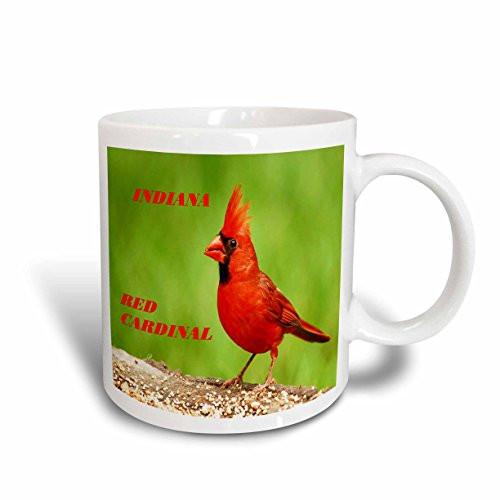 3dRose mug_50935_2 "State Bird of Indiana Red Cardinal" Ceramic Mug, 15 oz, Multicolor