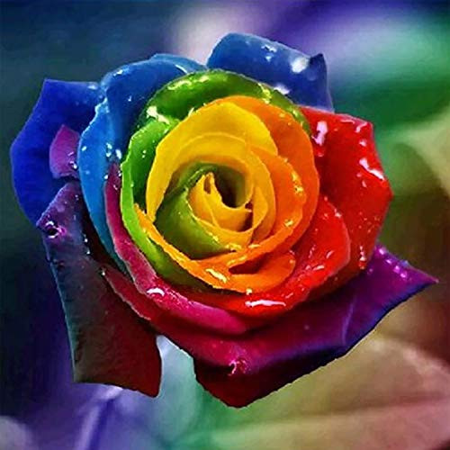 5D Diamond Painting Flowers Full Drill Round Crystal Rhinestone Diamond Painting Kits for Adults Embroidery Cross Stitch Diamond Painting Accessories Arts Craft Home Wall Decor13.7x13.7inch