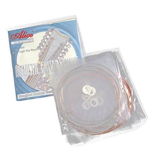 LoveinDIY 12PCS Acoustic Folk Guitar Replacement Strings E B G D A E Quick Response