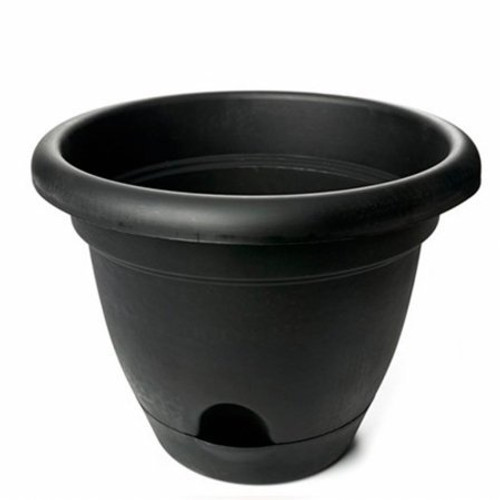 Round Pot Planter Color  Black_ Size  4.5 inch  H x 6.5 inch  W x 6.5 inch  D