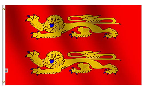 rhungift 2 Pack Lower Normandy Flag 3x5 Ft_ Quadruple Stitched Fly End Flags_ Both Sides 100D Polyester 2 Lion French Region of Basse Normandie Flags
