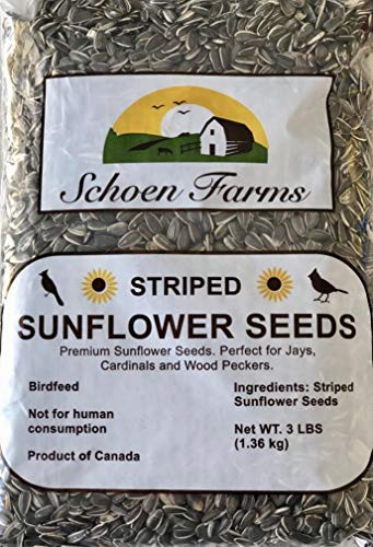 Schoen Farms Striped Sunflower Seeds for Birds_ _3 Pound_ _ Shelled _ Hulled